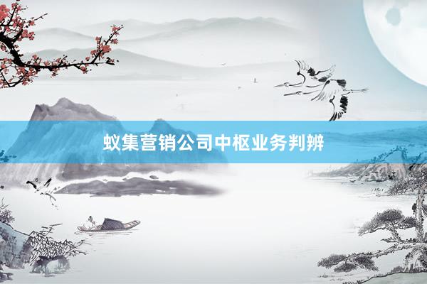 蚁集营销公司中枢业务判辨